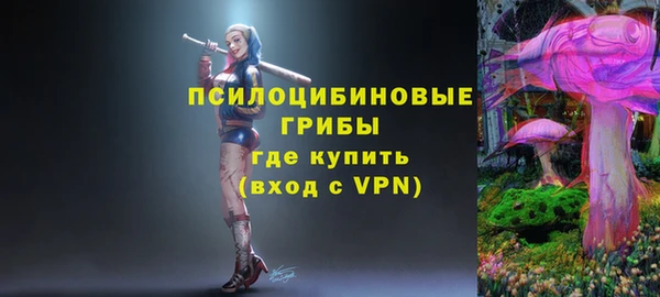 СК Арсеньев