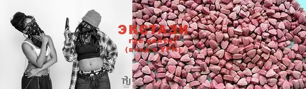 шишки Аркадак