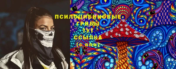 шишки Аркадак