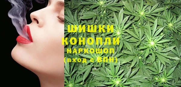 шишки Баксан